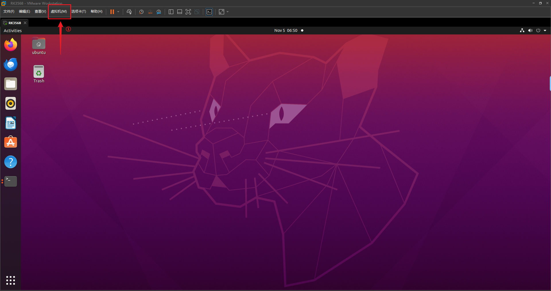 image-20241105195130647