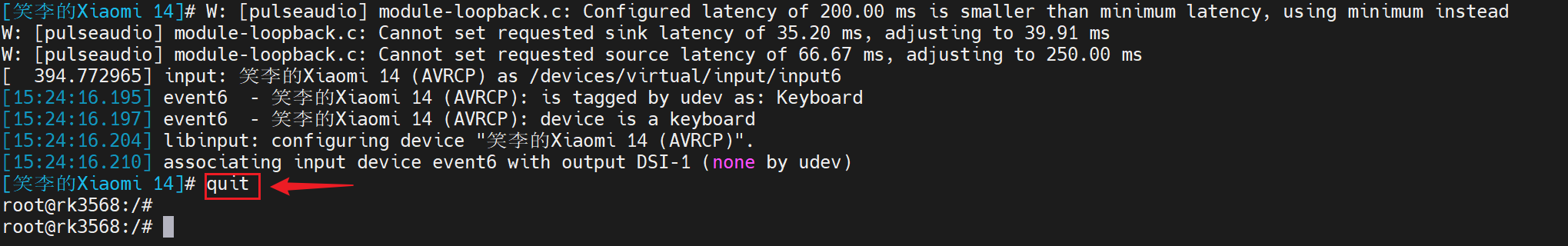 image-20250211171442991