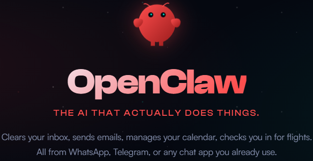 image-20260225102829350