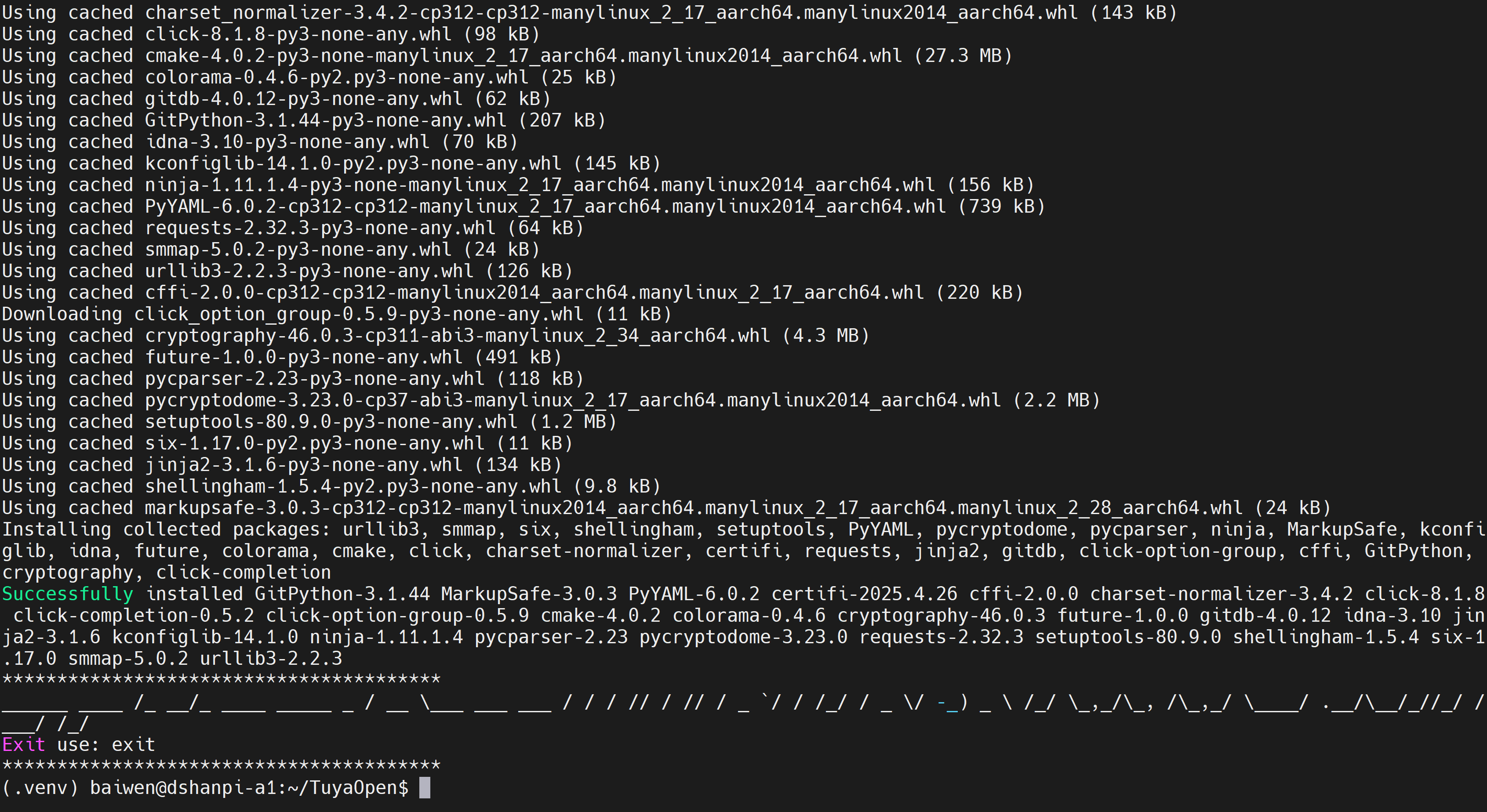 image-20251103161139018